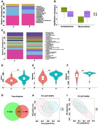 Gut microbiota alterations in children and their relationship with primary immune thrombocytopenia